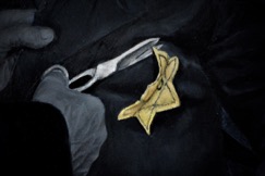 Shoah Survivors Edited - 3